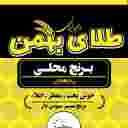 طلای بهمن