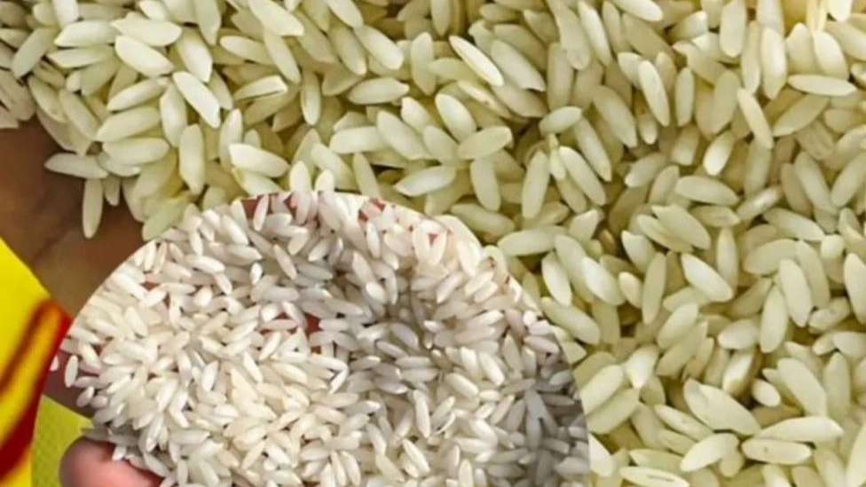برنج محلی شوشتر طلای بهمن